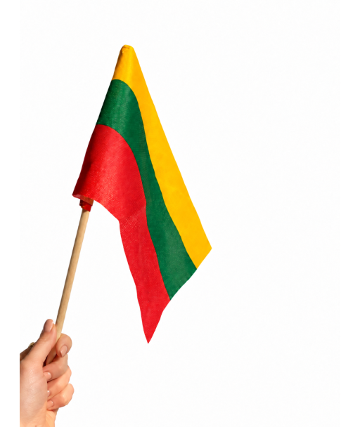 Lietuvos trispalvė vėliavėlė su koteliu